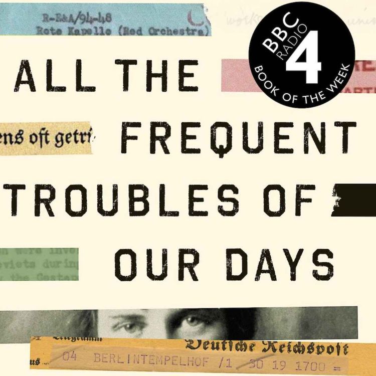 cover art for Little Atoms 729 - Rebecca Donner's All The Frequent Troubles Of Our Days