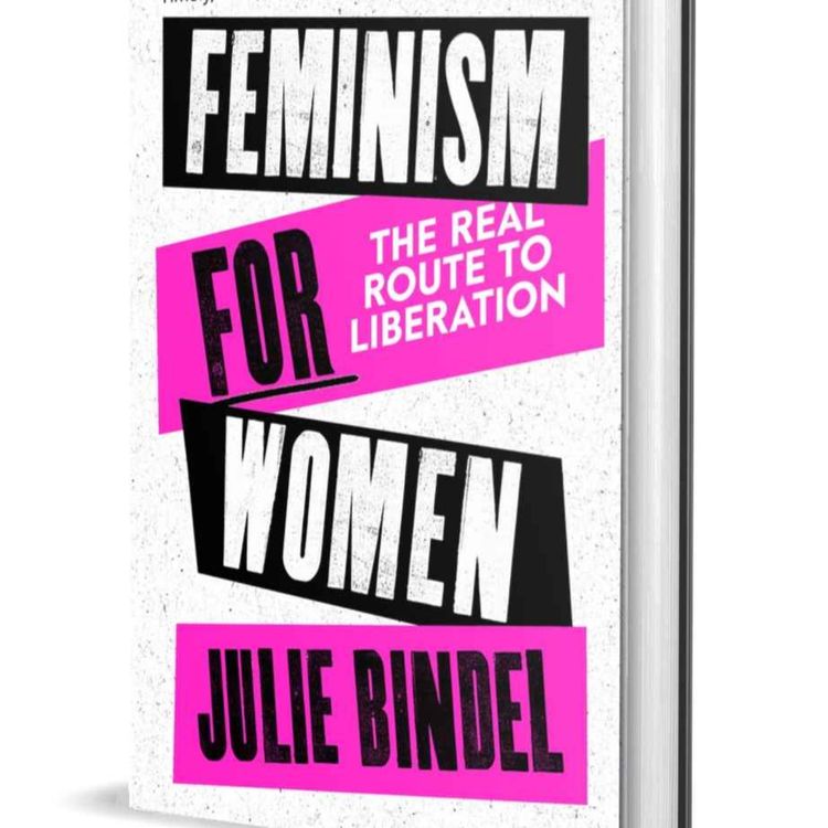 cover art for Little Atoms 737 - Julie Bindel's Feminism For Women