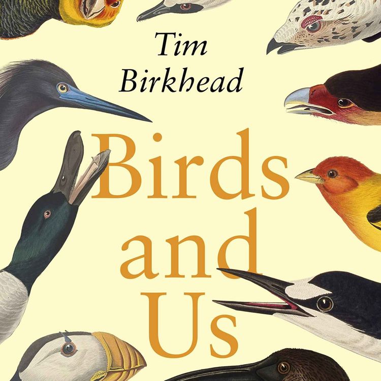 cover art for Little Atoms 762 - Tim Birkhead's Birds and Us