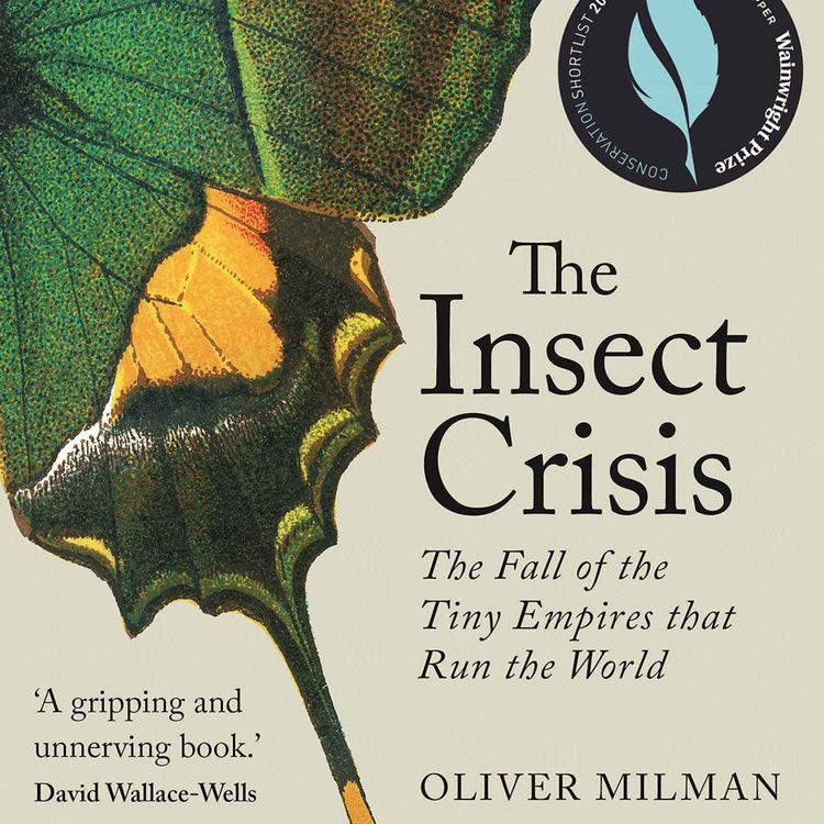cover art for Little Atoms 815 - Oliver Milman's The Insect Crisis