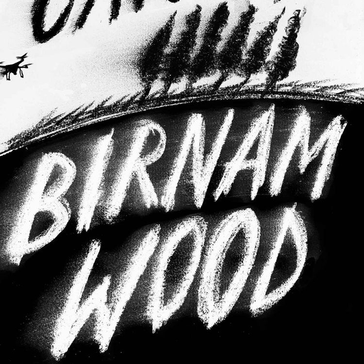 cover art for Little Atoms 816 - Eleanor Catton's Birnam Wood