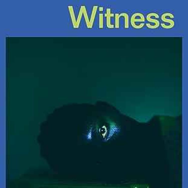 cover art for Little Atoms 856 - Jamel Brinkley's Witness