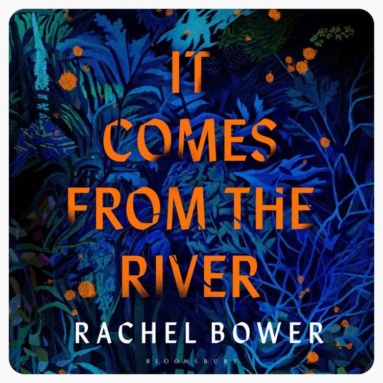 cover art for Little Atoms 938 - Rachel Bower's It Comes From The River