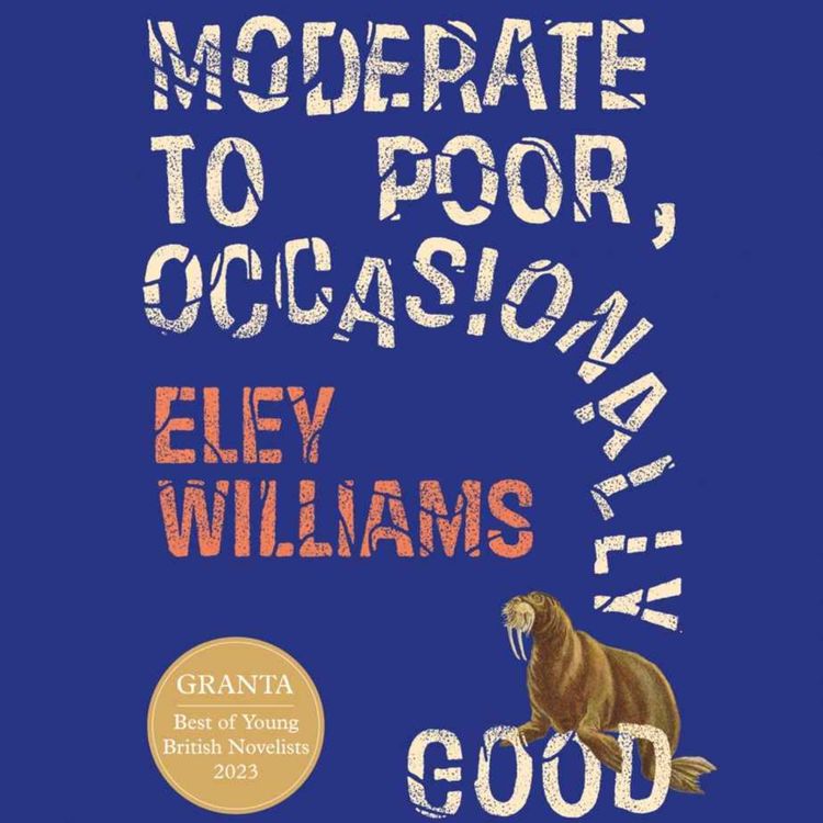 cover art for Little Atoms 950 - Eley Williams' Moderate to Poor, Occasionally Good