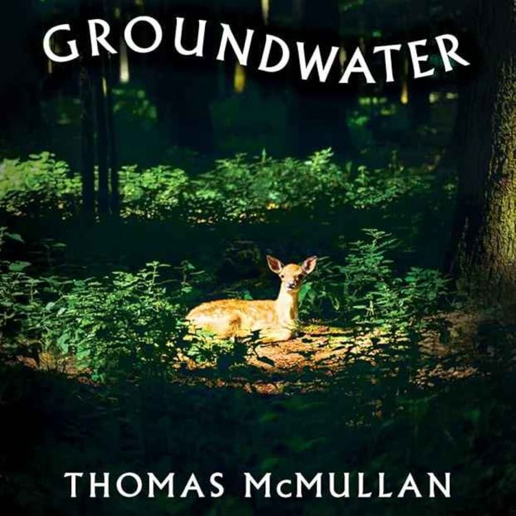 cover art for Little Atoms 972 - Thomas McMullan's Groundwater