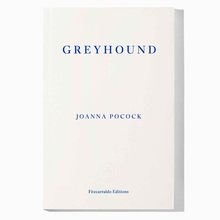 cover art for Little Atoms 975 - Joanna Pocock's Greyhound