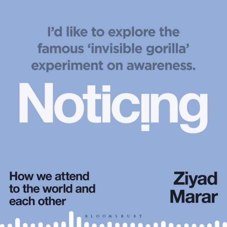 cover art for Little Atoms 977 - Ziyad Marar's Noticing