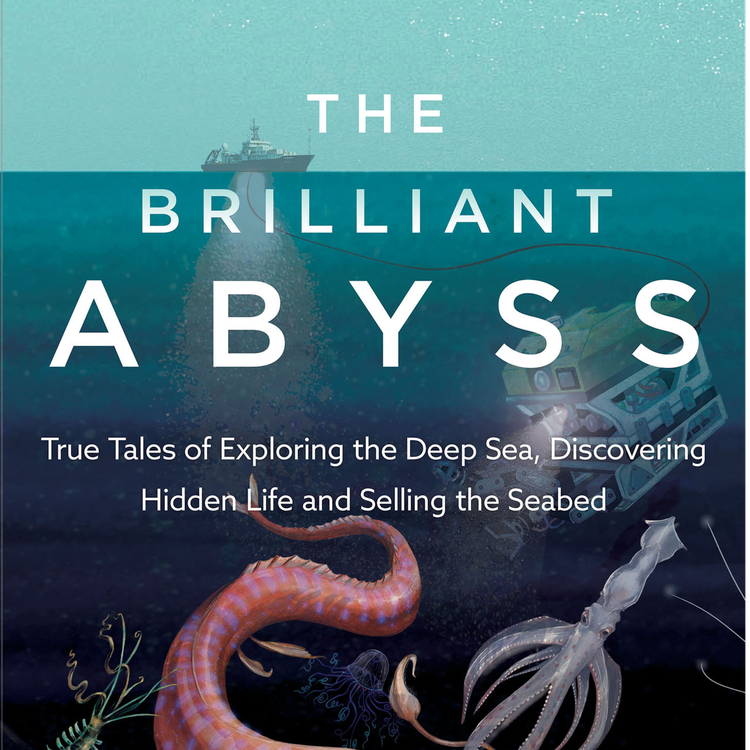 cover art for Little Atoms 692 - Helen Scales' The Brilliant Abyss