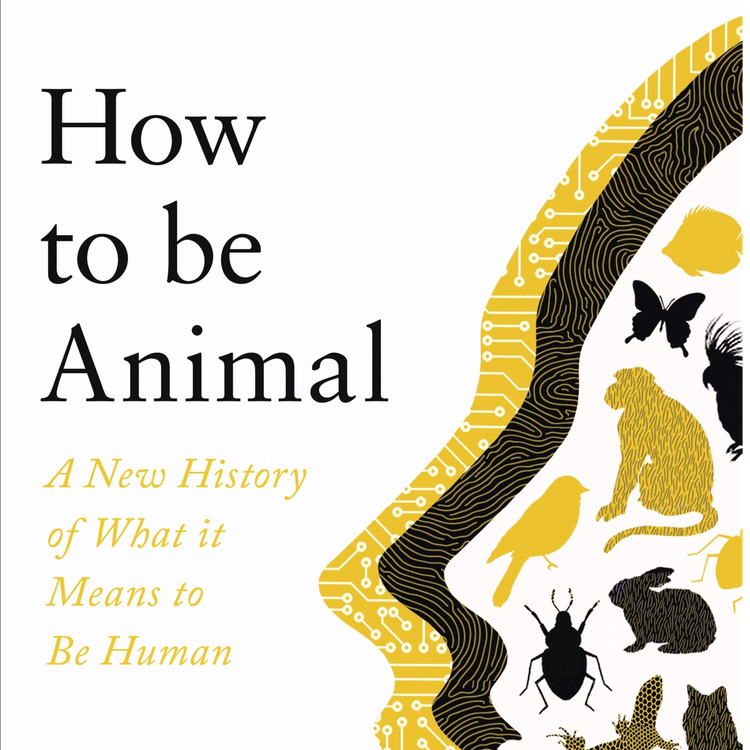 cover art for Little Atoms 682 - Melanie Challenger's How To Be Animal