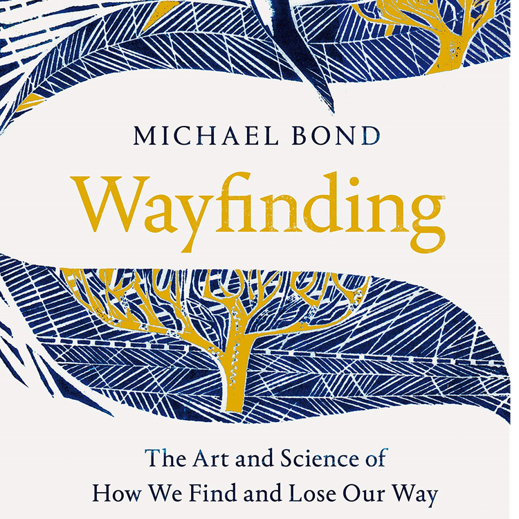 cover art for Little Atoms 652 - Michael Bond's Wayfinding