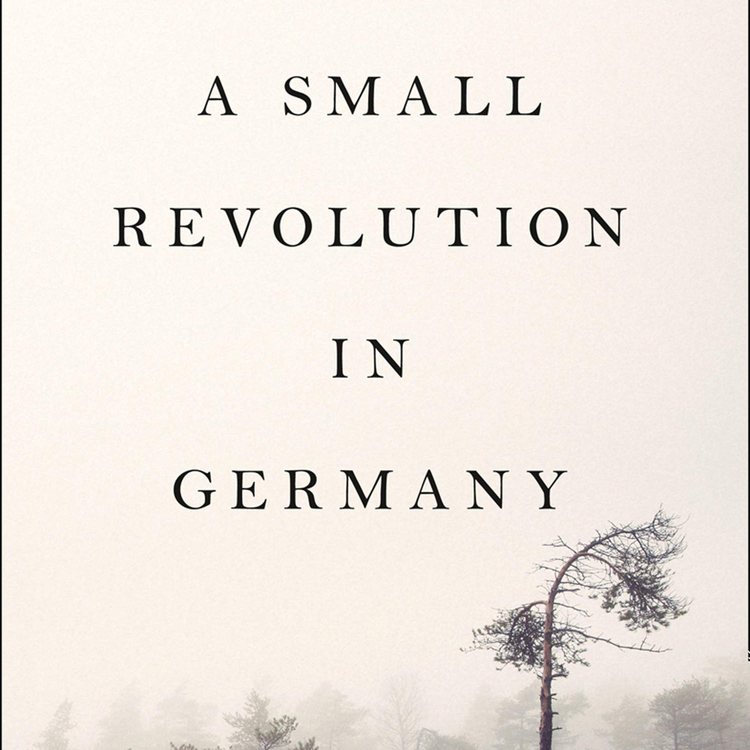 cover art for Little Atoms 634 - Philip Hensher's A Small Revolution in Germany