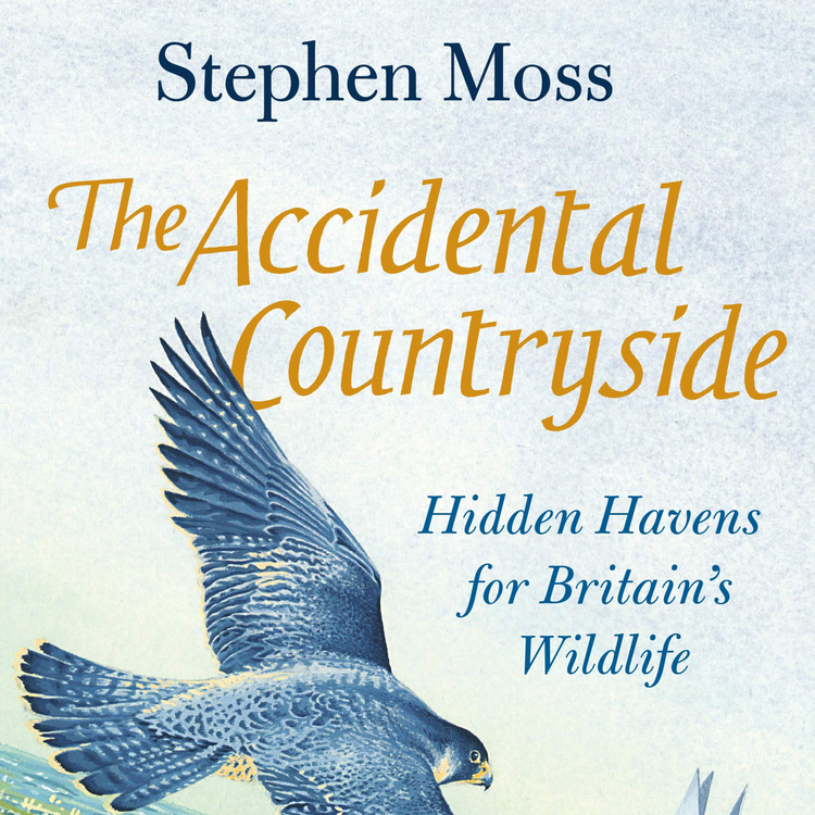cover art for Little Atoms 631 - Stephen Moss' The Accidental Countryside
