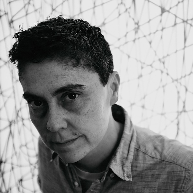 cover art for Little Atoms 585 - Andrea Lawlor's Paul Takes the Form of a Mortal Girl