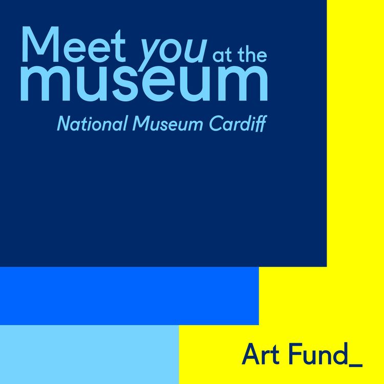 cover art for Meet You at the Museum: National Museum Cardiff