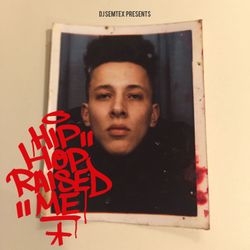 cover art for Hip Hop Raised Me