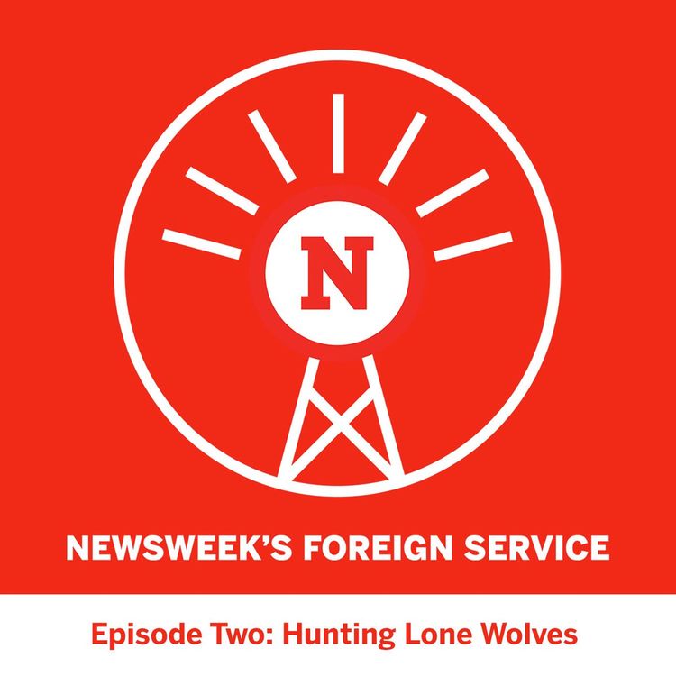 cover art for Hunting Lone Wolves