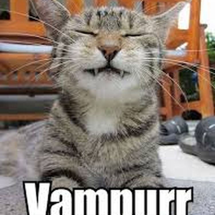 cover art for EPISODE 83: The vampire diaries, a fidget spinner winner and a total balls UP