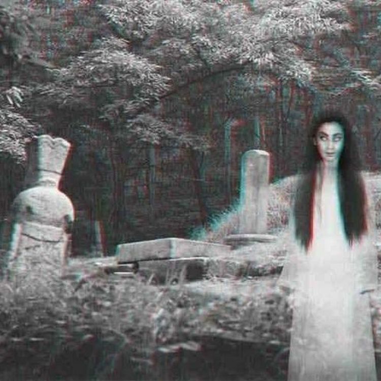 cover art for Episode 38: Ghostly films, a snakey surprise and a very saw face