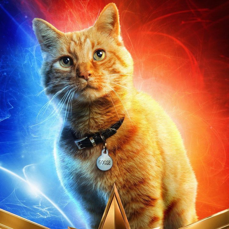 cover art for Minisode 90.5: Not The Captain Marvel Episode Yet