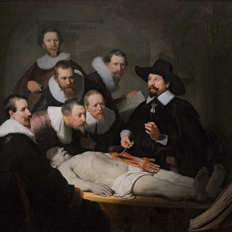 cover art for The Anatomy Lesson of Dr. Nicolaes Tulp - with Adam Rutherford