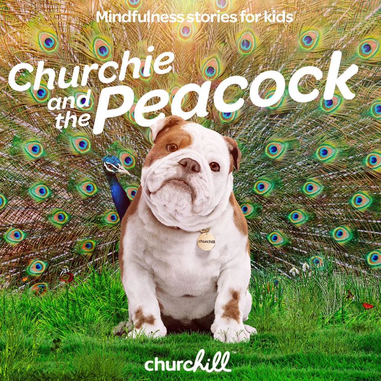 cover art for Churchie and the Peacock