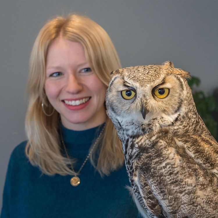 cover art for Jennie Webber | Wildlife Drawing