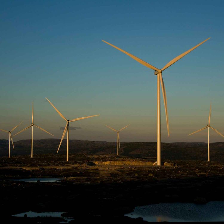 cover art for Despatch: A smarter path to Net Zero