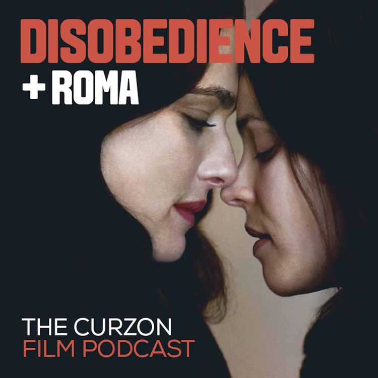 cover art for DISOBEDIENCE + ROMA