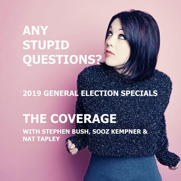 cover art for Any Stupid Questions about... The 2019 General Election Coverage?