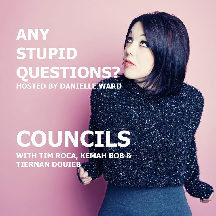 cover art for Any Stupid Questions about... Councils?