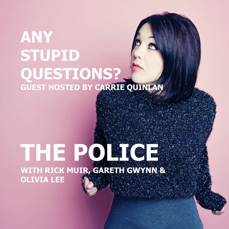 cover art for Any Stupid Questions about... The Police?