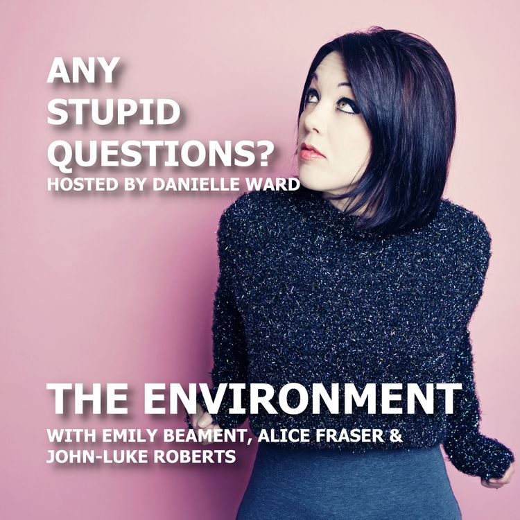 cover art for Any Stupid Questions about... The Environment?