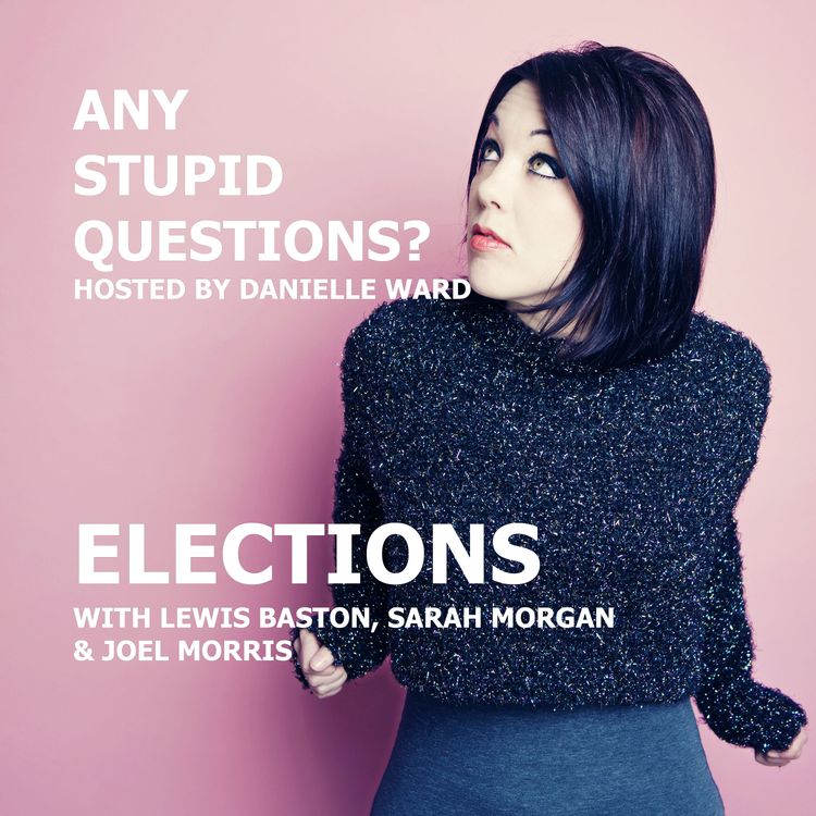 cover art for Any Stupid Questions about... Elections?