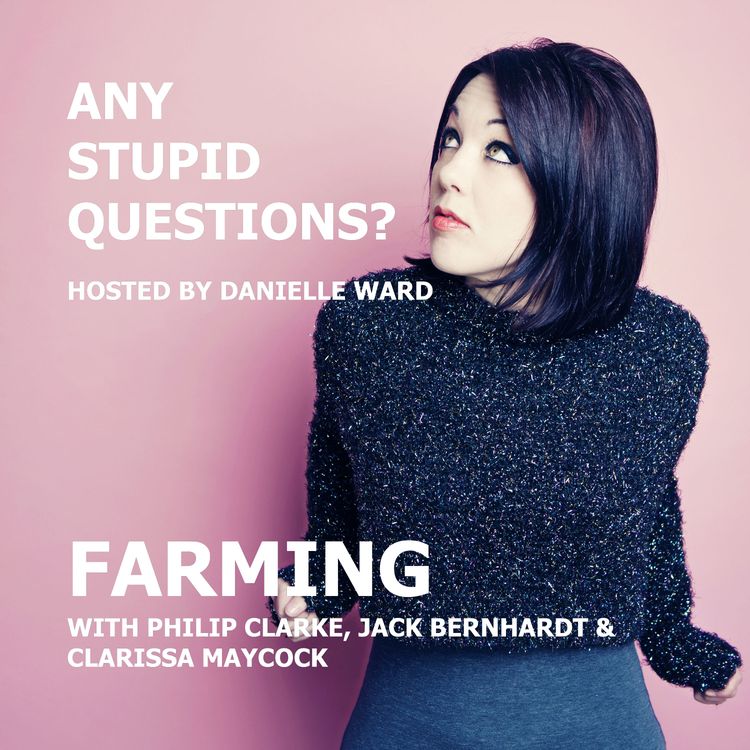 cover art for Any Stupid Questions about... Farming?