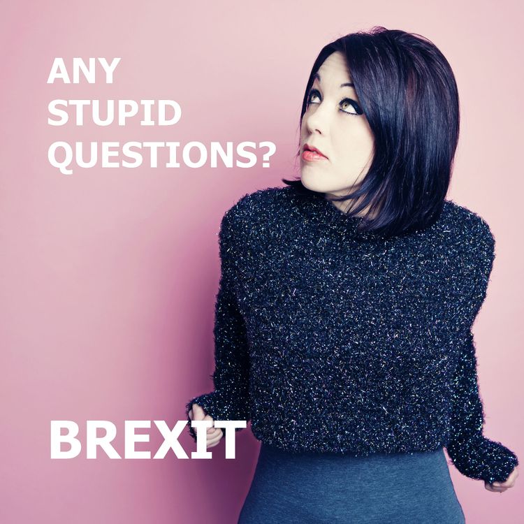 cover art for Any Stupid Questions about... Brexit?