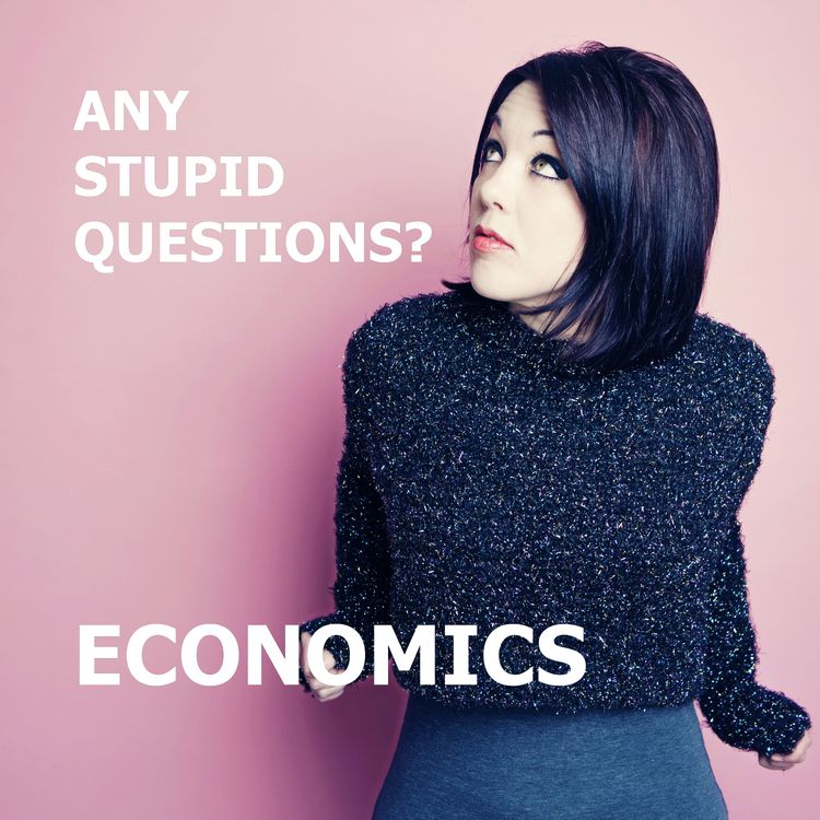 cover art for Any Stupid Questions about... Economics?