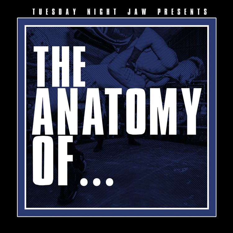 cover art for TNJ - The Anatomy Of The Lariat