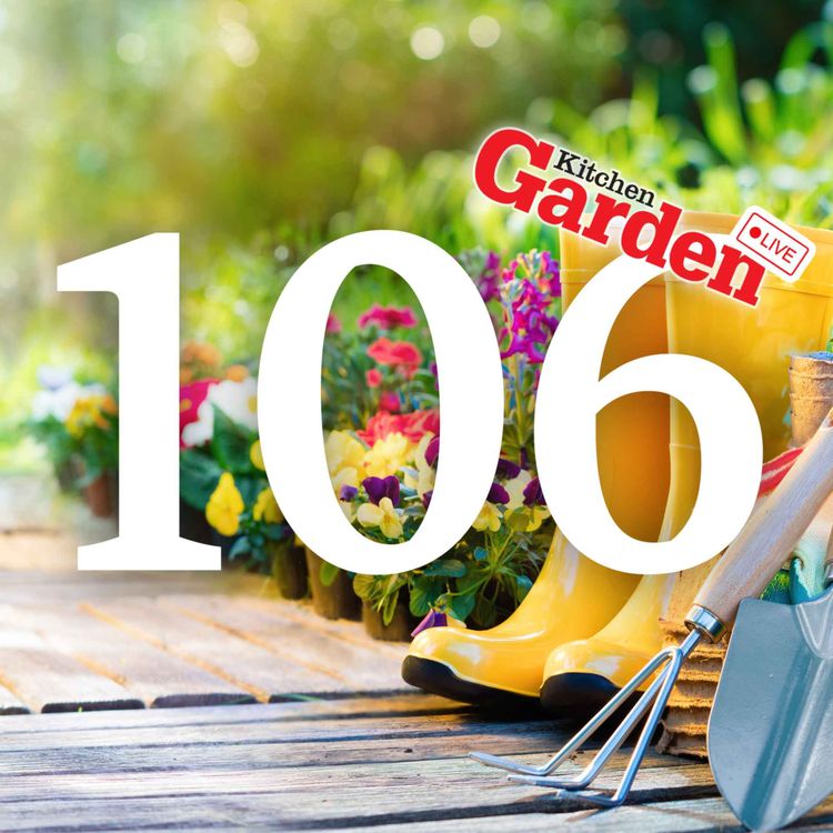 cover art for 106 - Kitchen Garden LIVE | Your Questions Answered