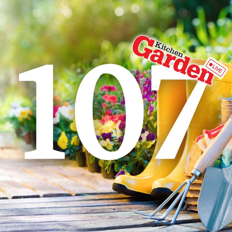 cover art for 107 - October Catch-Up and Answering your Questions