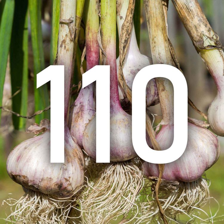 cover art for 110 - A Question of Garlic