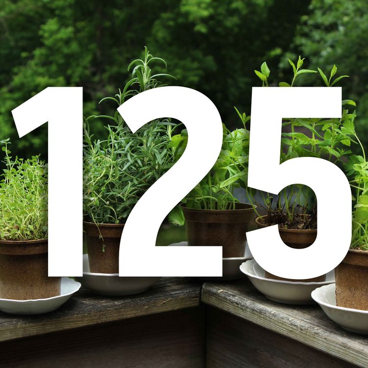 cover art for 125 - It just has to be herbs