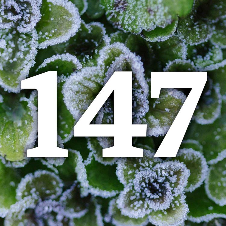 cover art for 147 - The Winter Harvest