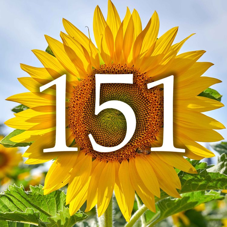 cover art for 151 - June Jobs, Sunflower Joy & Summer Harvests