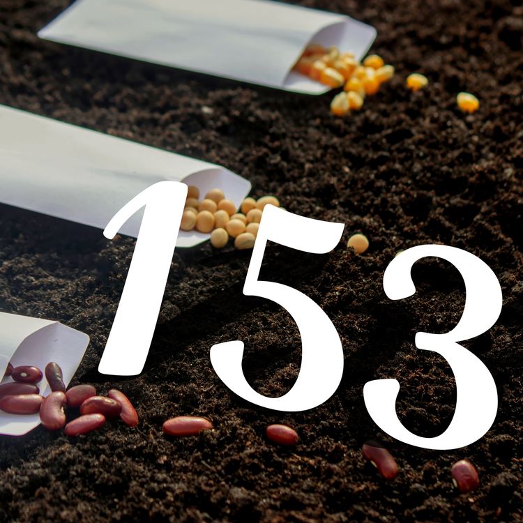 cover art for 153 - Seeds with Stories & July Gardening Essentials
