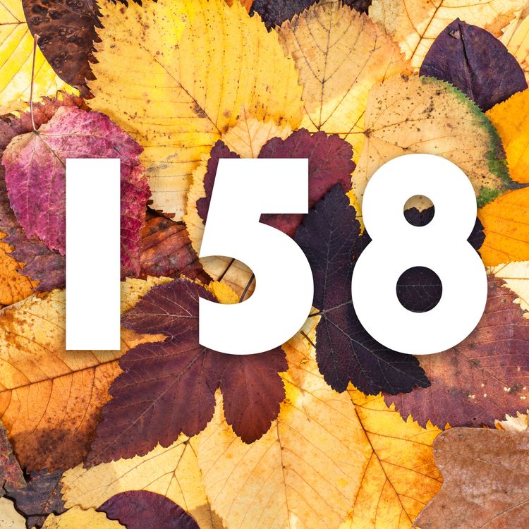 cover art for 158 - Autumn Abundance: Sowing, Storing & the Kale Comeback