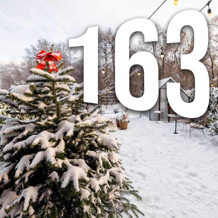 cover art for 163 - The 12 Garden Days of Christmas