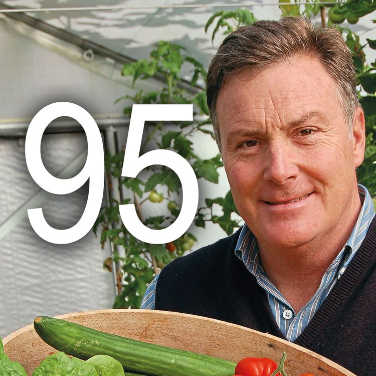 cover art for 95 An Interview with Martin Fish