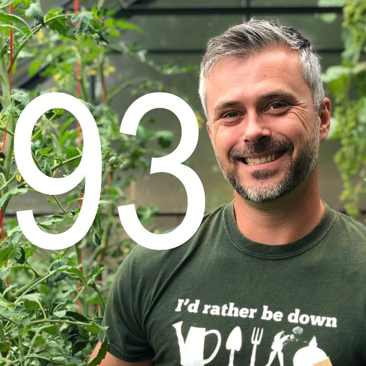 cover art for 93 An Interview with Rob Smith