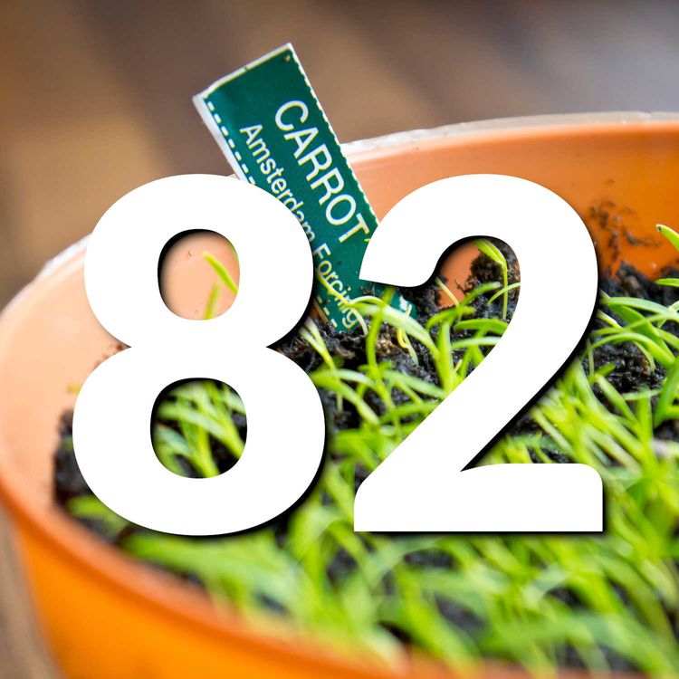 cover art for 82 Growing Veg in Small Spaces