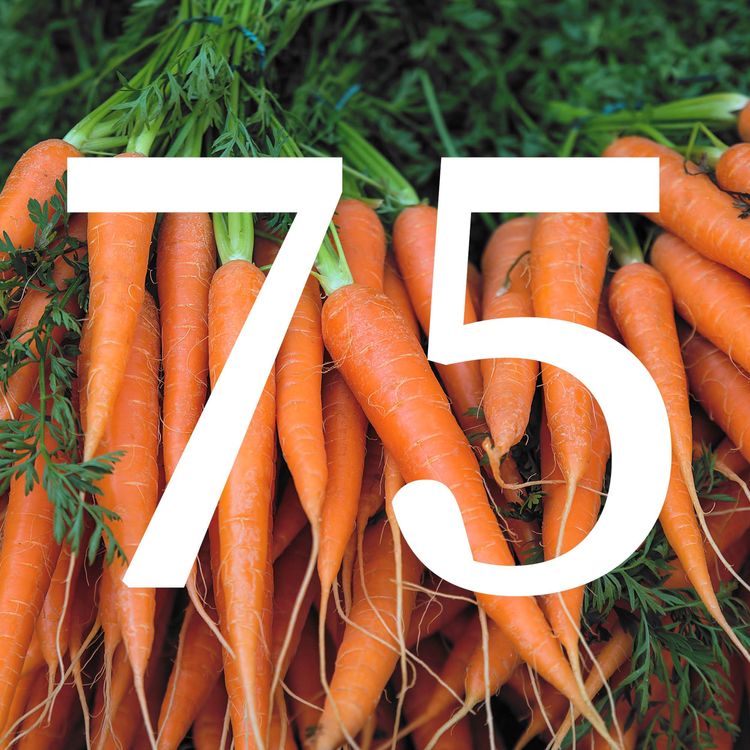 cover art for 75 How to Beat Carrot Fly